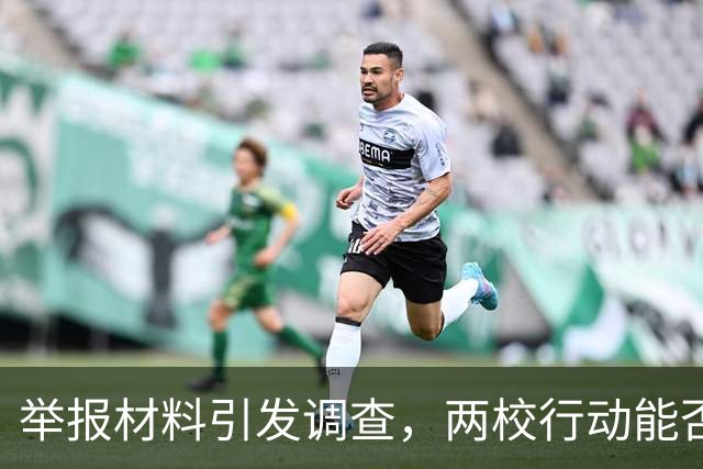 举报材料引发调查，两校行动能否化解危机？